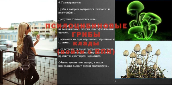 первитин Зеленодольск