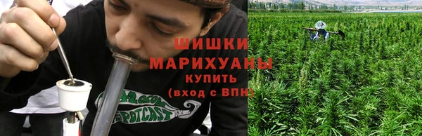 прущие грибы Зерноград